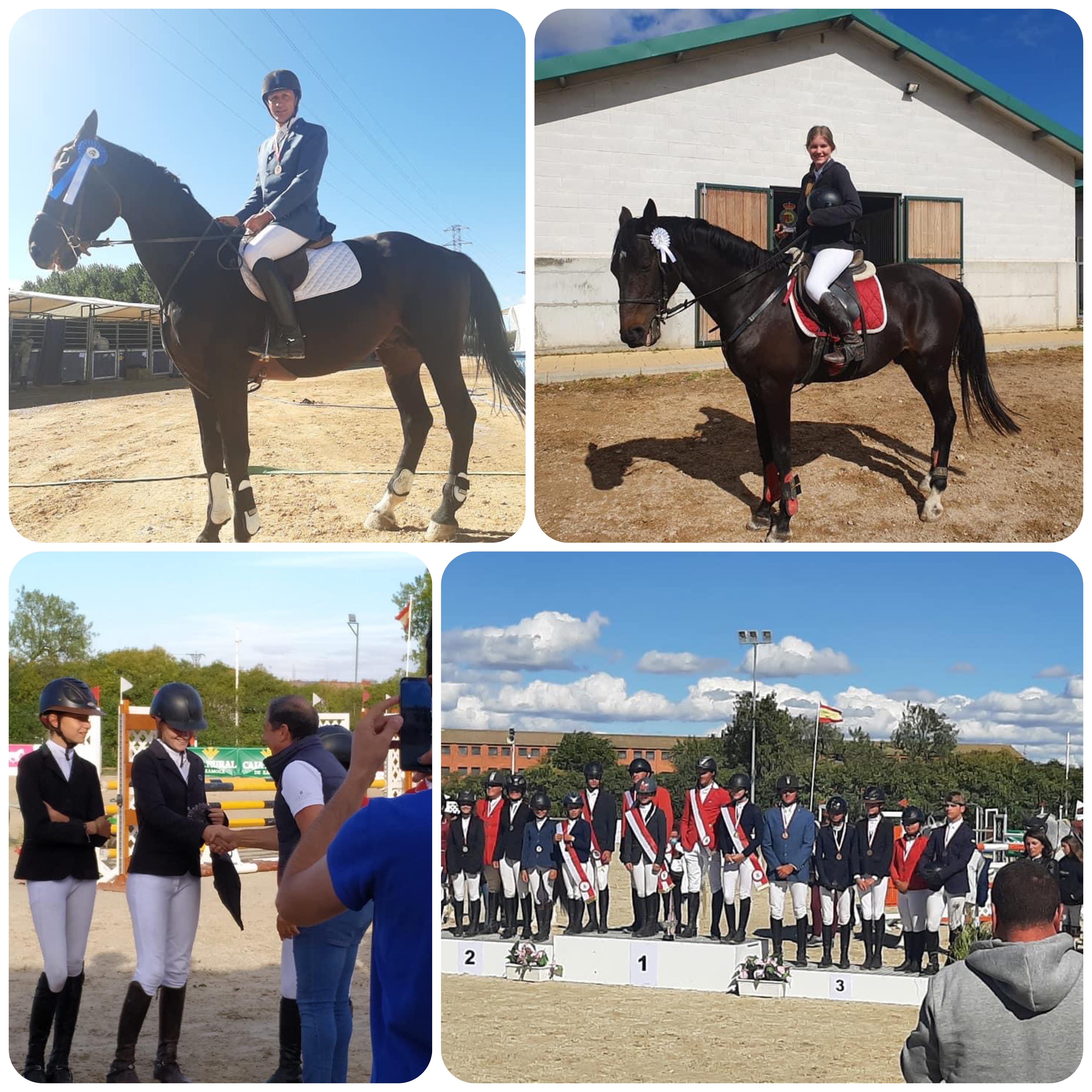 Gran actuaci�n de la Yeguada <h3 class='enlacePalabraNoticia'>Riaza</h3> en el Campeonato de Salto absoluto de Castilla y Le�n en Valladolid