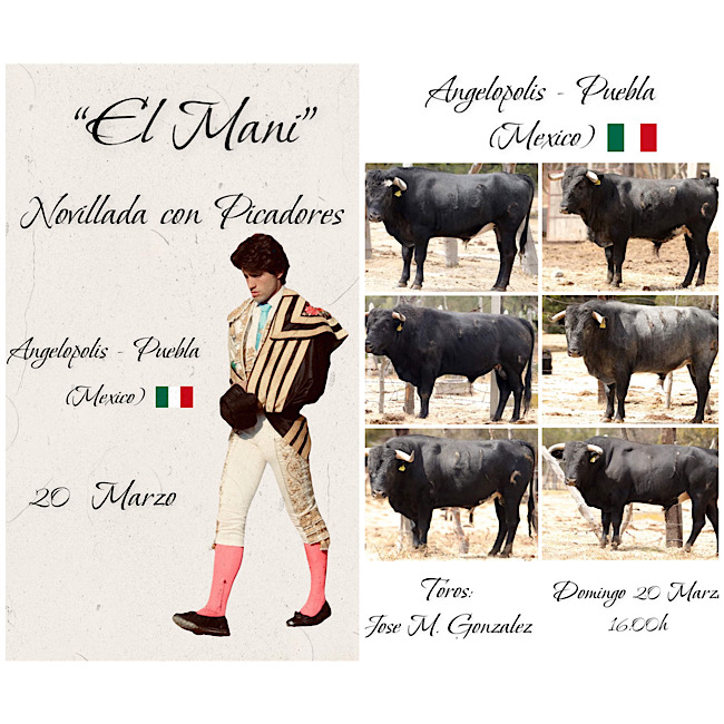 Todo preparado para la novillada con picadores de San Andres de Cholula, para <h3 class='enlacePalabraNoticia'>Eugenio Mart�n</h3> `<h3 class='enlacePalabraNoticia'>El Mani</h3>�