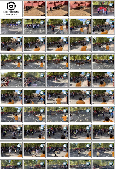 Recordamos las fiestas con una nueva actualizaci�n de fotos