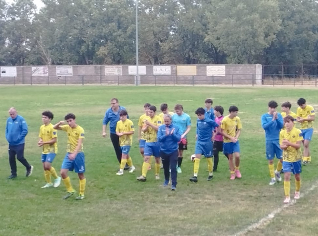 juvenil
