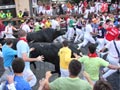 Pincha para verla más grande