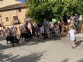 Pincha para verla más grande