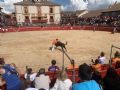 Pincha para verla más grande