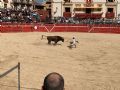 Pincha para verla más grande