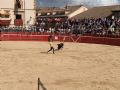 Pincha para verla más grande