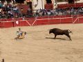 Pincha para verla más grande