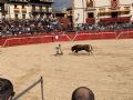 Pincha para verla más grande