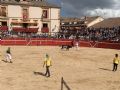 Pincha para verla más grande