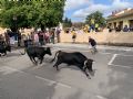 Pincha para verla más grande