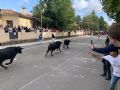 Pincha para verla más grande