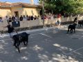 Pincha para verla más grande