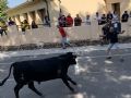 Pincha para verla más grande