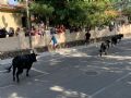 Pincha para verla más grande