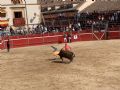 Pincha para verla más grande