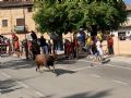 Pincha para verla más grande