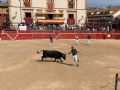 Pincha para verla más grande