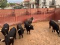 Pincha para verla más grande