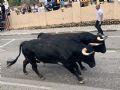 Pincha para verla más grande