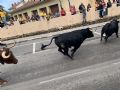 Pincha para verla más grande