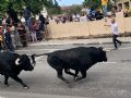 Pincha para verla más grande