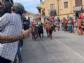 Pincha para verla más grande