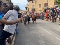 Pincha para verla más grande