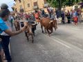 Pincha para verla más grande