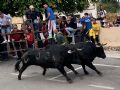 Pincha para verla más grande