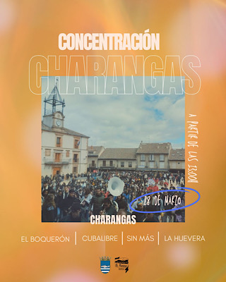 XIII Concentraci�n de Charangas 