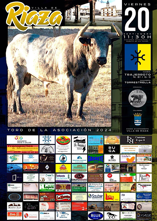 Presentacin Toro de la Asociacin 2024