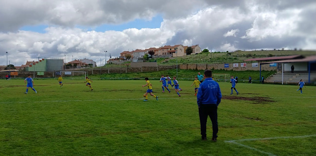 alevin
