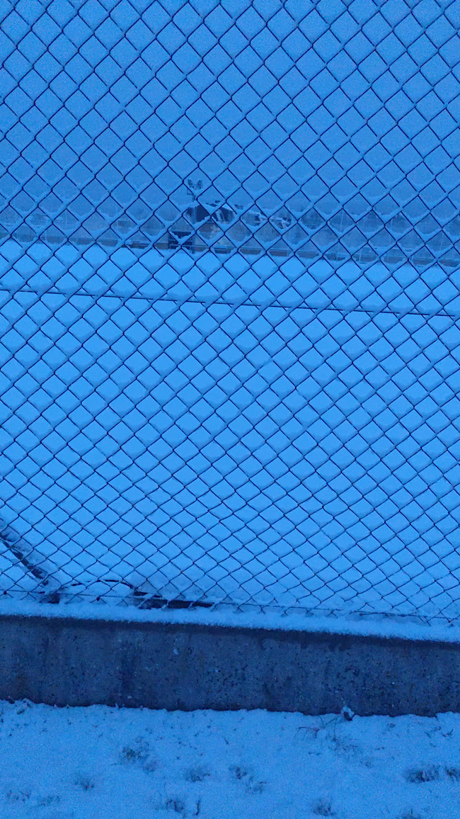 La competici�n se despide del 2025 entre nieve y esfuerzo