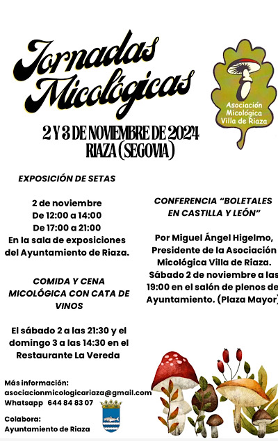 Jornadas Micolgicas <h3 class='enlacePalabraNoticia' onclick='opcionBuscarActualidad('Riaza','')' >Riaza</h3> (2024)