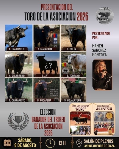 Presentaci�n Toro de la Asociacion
